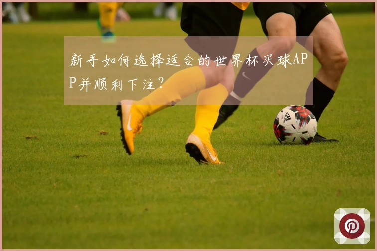 新手如何选择适合的世界杯买球APP并顺利下注？