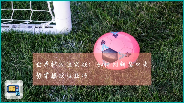 世界杯投注实战：如何判断盘口走势掌握投注技巧