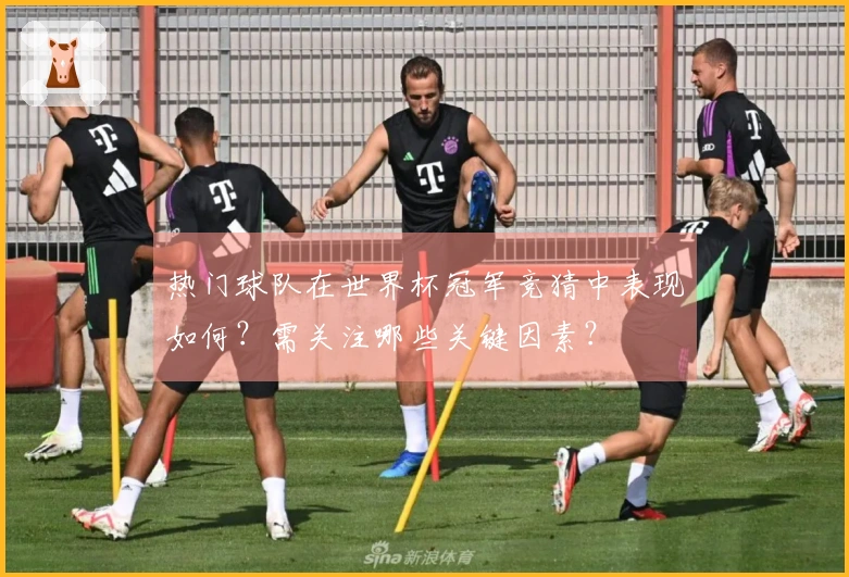 热门球队在世界杯冠军竞猜中表现如何？需关注哪些关键因素？