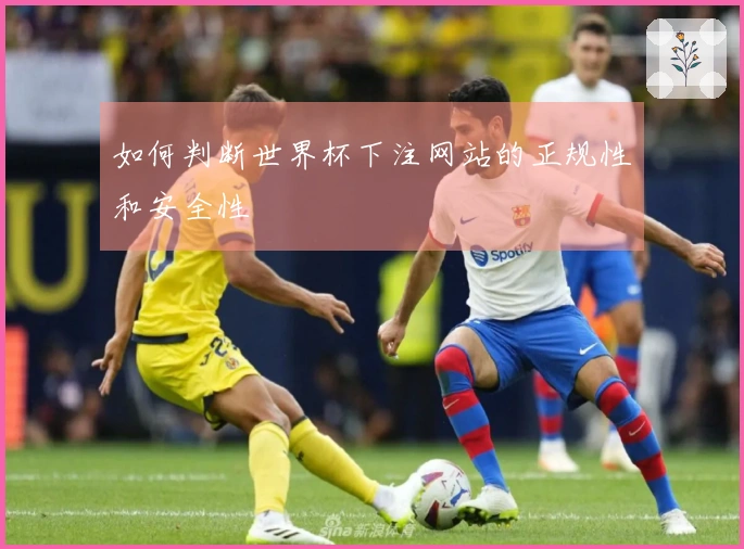 如何判断世界杯下注网站的正规性和安全性