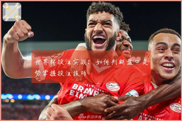 世界杯投注实战：如何判断盘口走势掌握投注技巧