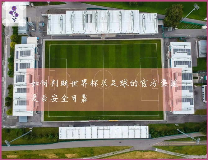 如何判断世界杯买足球的官方渠道是否安全可靠